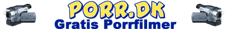 Porr.dk